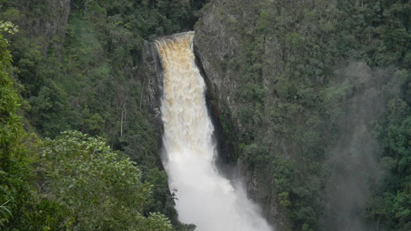 SALTO DE BORDONES