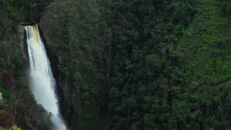 SALTO DE BORDONES