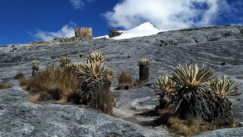 Paisaje de la región Andes