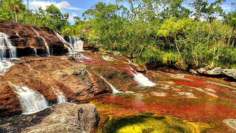 Paisaje de la región Orinoco