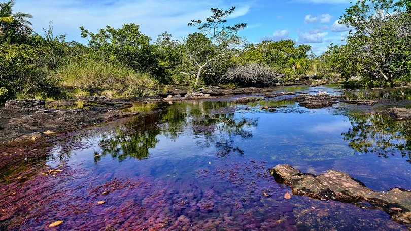 CAÑO CRISTALES